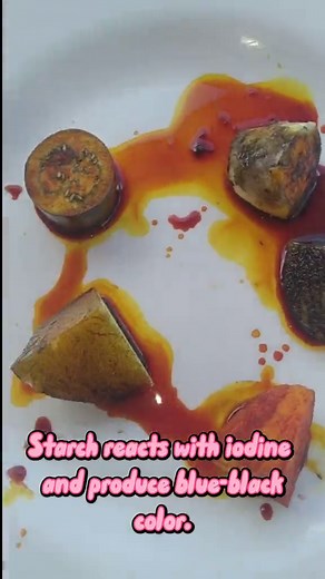 Iodine Test for Starch - A Science Experiment