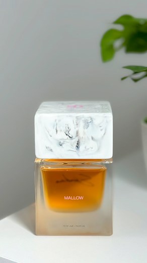 Tom Fragrances on Instagram: "Préparez-vous à être arrêté dans la rue avec ces parfums irrésistibles ! 🚶‍♀️💫 Chaque fragrance a été choisie pour son pouvoir unique de faire tourner les têtes et laisser une impression inoubliable. De notes florales captivantes à des touches boisées intenses, ces parfums feront de vous le centre d’attention où que vous alliez. 🌟 @sospirointernational @sora___dora @maisoncrivelli @laboratorioolfattivo @louisvuitton @bdkparfumsparis @widianofficial #ScentGameStro