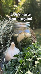 11K views · 33K reactions | This is crazy! Cutting herbs makes them grow faster... So get out there and harvest some oregano to make this tincture Then step out next week and do it again Comment HERBS to get the Herb Garden Course so you can start growing your own herbs this summer You can start right now-it’s not too late to fill up your yard with herbs you can cut from again and again | Gardenary | Facebook