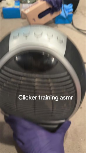 Clicker training asmr with gloves #asmr #pureglovesasmr #gloves #medplay #glovesounds
