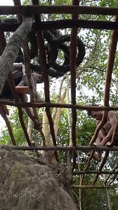 2.6K views · 89 reactions | Primitive Unique Tool on Reels | Facebook