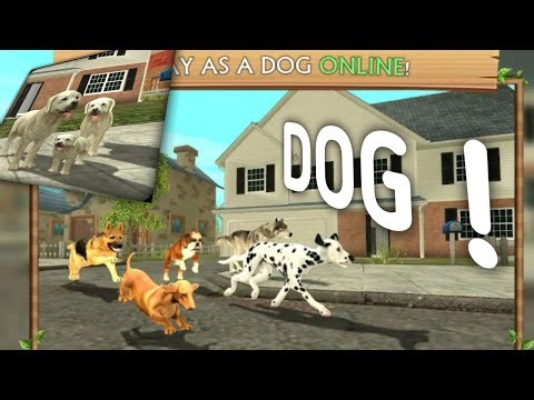 Cute Dog 🐕| DOG Sim online Raise a family | gameplay video in mobile |