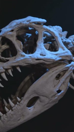 The Oldest Dinosaur Ever Found Had A Feature It Shouldn't Have! #dinosaurs #shorts