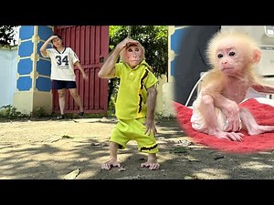 Bibi is anxiously waiting for the poor baby monkey to come play at home!