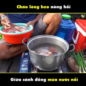 832K views · 9K reactions | Cháo lòng heo giữa cánh đồng mùa nước nổi | Nét Quê Channel | Facebook
