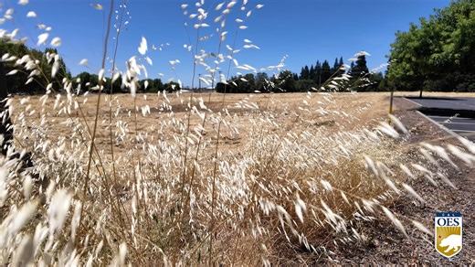 Hot weather will continue across the state, bringing moderate heat impacts and critical fire weather conditions, especially across Southern California. #cawx #SoCal US National Weather Service Los Angeles/Oxnard U.S. National Weather Service (NWS) | California Governor's Office of Emergency Services