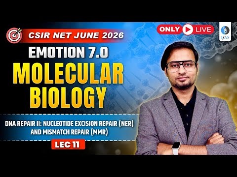 DNA Repair II: Nucleotide Excision Repair (NER) & Mismatch Repair (MMR) | Molecular Biology Series