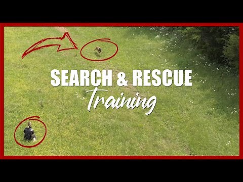 Search and Rescue Dog Training With The Tom Rose School