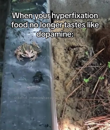 Hyperfixation Meals Meme Compilation | ADHD & Autism TikTok Memes