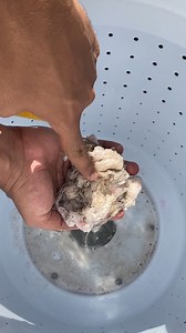 272K views · 3.7K reactions | Washing machine manufacturers are going crazy after I discovered this! | Learn To Do | Facebook