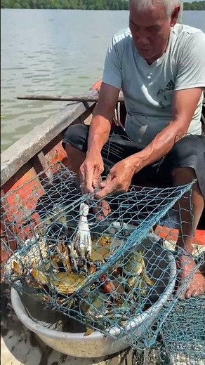 fishing for trout in rivers #fishing #fish #net #handfish