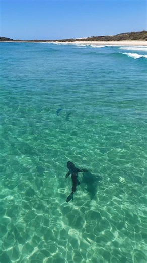 Drone Fishing Experience: Spotting Mackerel in Australia