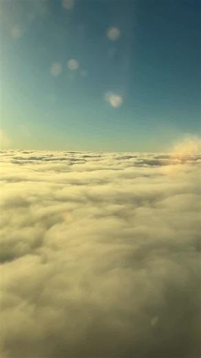 LAURA VANDERVOORT COATES (11:11] on Instagram: "Nothing like coming home. ✈️"