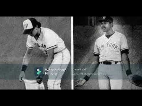 When Dave Winfield Was Arrested For Killing A Seagull