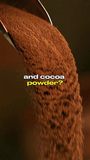 Cacao Powder vs Cocoa Powder: What’s the difference? 👀 #reels #food #education #DidYouKnow | Bridget's Healthy Kitchen