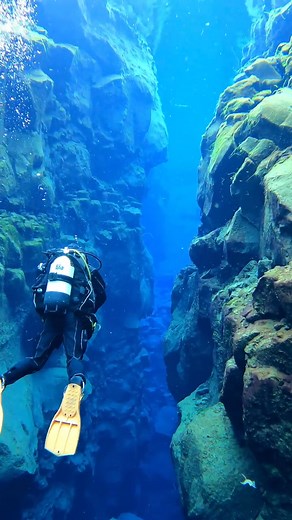 67K views · 1.7K reactions | Imagine dive in between America and Europe with a visibility of +100 m. : @fonsidiventures | Diving Specials | Facebook