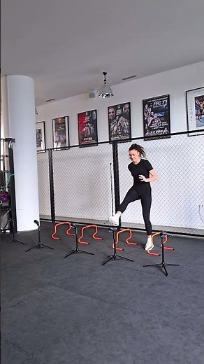 Reactive lateral hurdle run (ACL, MCL, PCL, LCL)