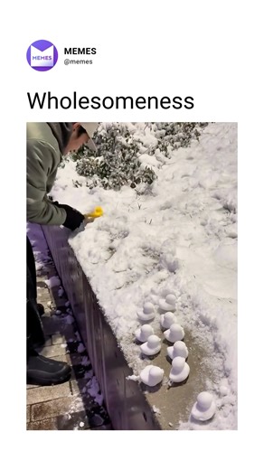 The "ducking mold snow maker" _____ Via: @jonathantsugawa | Memes