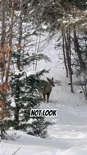 It’s a day after the season! He’s a survivor! ￼