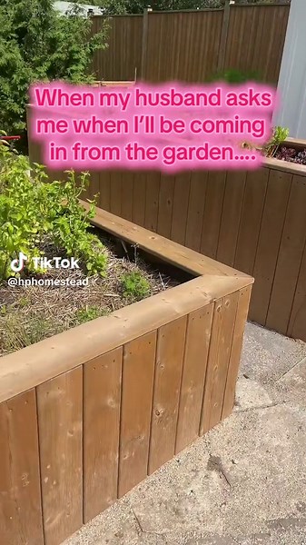 Homestead Gardening Tips for Flower and Veggie Lovers