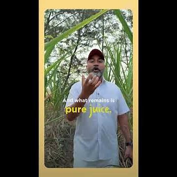 How Two Brothers Organic Farms Makes Pure Jaggery | No Chemicals Used