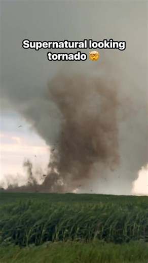 My favorite tornado intercept of 2025… Near Watertown, South Dakota! #weather #tornado #stormchasing | StormRunner Media