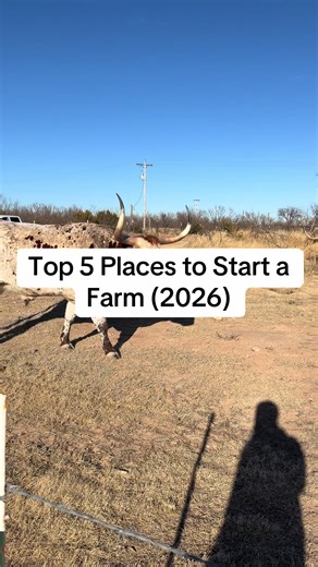 Thinking of starting your farm journey but don’t know where to plant your roots? Here are 5 of the best states to start a farm in 2026 — based on land price, climate, support programs, and market access: Comment “FARMLAND” and I’ll send you my Free 2026 Land Research Checklist PDF ✔️ How to analyze rural land ✔️ Questions to ask sellers ✔️ Where to find off-market farm deals ✔️ What to look for before buying