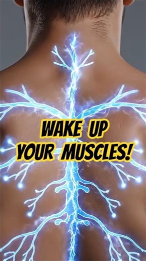 Do THIS Before You Workout (The Science of Dynamic Stretching) 🧬⚙️