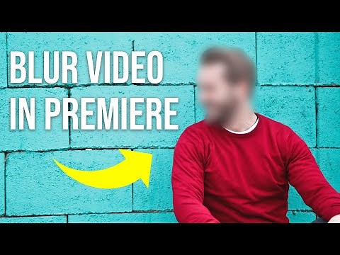 How to Blur Or Censor Any Video In Premiere Pro