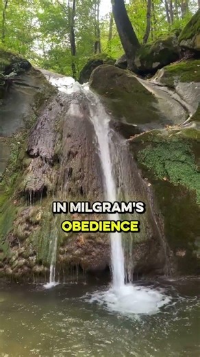 Power, Obedience, and the Epstein Case