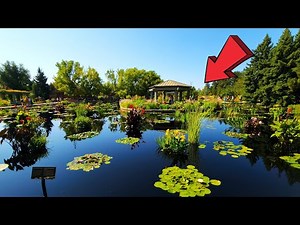 Botanic Gardens Denver Amazing Full Tour