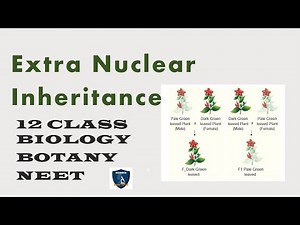Extra Nuclear Inheritance | For 12th Standard Biology- Bio Botany | Science Easy Tech
