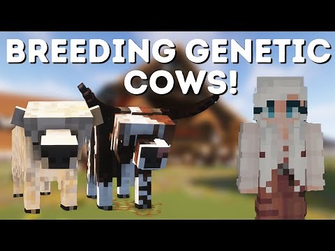 Breeding genetic cows and pigs - Minecraft