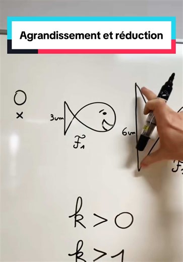 Brevet 2026 : transformation du plan, agrandissement et réduction : homothétie ! #prof #maths #apprendresurtiktok #brevet #homothétie
