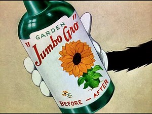 “King-Size Canary” Tex Avery 1947 (French)