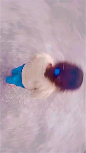 meri pyari si beti ke video