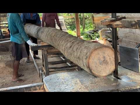 Complete Tutorial on Processing Coconut Trees into 2x20