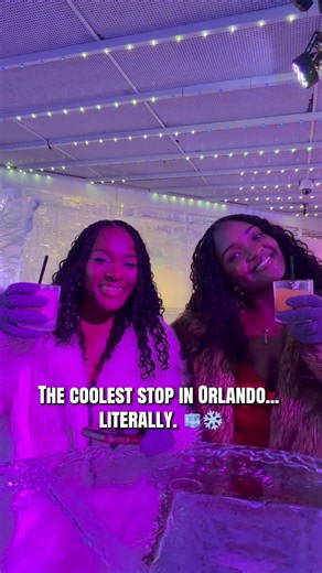 The Coolest Bar in Orlando... Literally! 🧊🍸