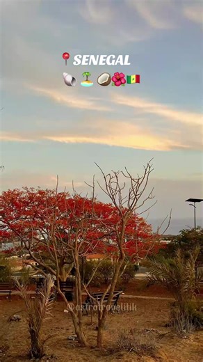 Pov:13seconds of Senegal’s beauty ✨🇸🇳 #senegal #africatravel #dakar