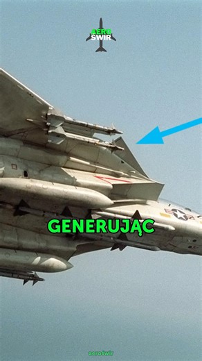 Serious Problem with the Legendary F-14 Tomcat🔥