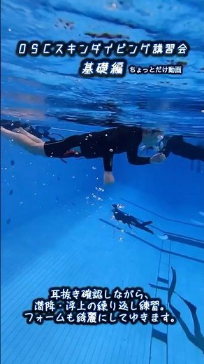 水深5.0mでスキンダイビングの基礎練習！深さがスキルの答えを教えてくれる！#スキンダイビング #水深5m #基礎練習#プール講習 #素潜り #OSC