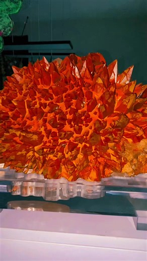 Stunning Calcite and Quartz Crystal Collection