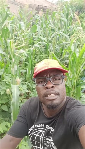 niphakamisa Buti Emc Style🔥🔥🌍🌍🙏🙏🙏