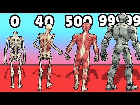 Human Run Gameplay Walkthrough Part 1 - From Skeleton to Man (Android,iOS)