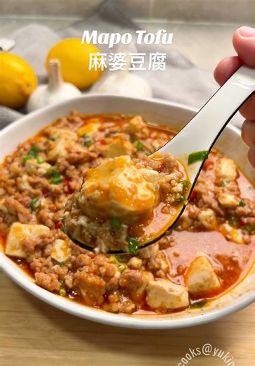 Delicious Mapo Tofu Recipe 麻婆豆腐