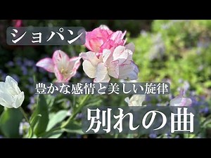 ショパン 別れの曲