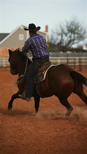 Barrel Racing Techniques: Improve Your Roping Skills