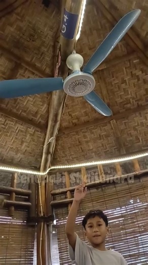 Fan | Blue Ceiling Fan #shorts #shortvideo #fan #kipasangin #ceilingfan