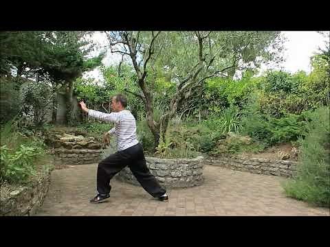 Tai Chi Chuan - Style Yang - 3ème partie : Le Ciel