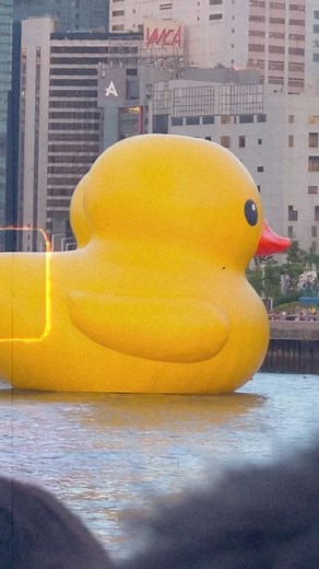 59K views · 499 reactions | Double Duck我見過，我真係見過! 十年後再會，上船黃昏睇最靚，你哋睇吓我大姑媽幾開心奔走落船!  Tks for invited @arr.allrightsreserved @sklamallrightsreserved @peninsulahongkong @studioflorentijnhofman @donaldtong @doubleducks_official | JimYan | Facebook